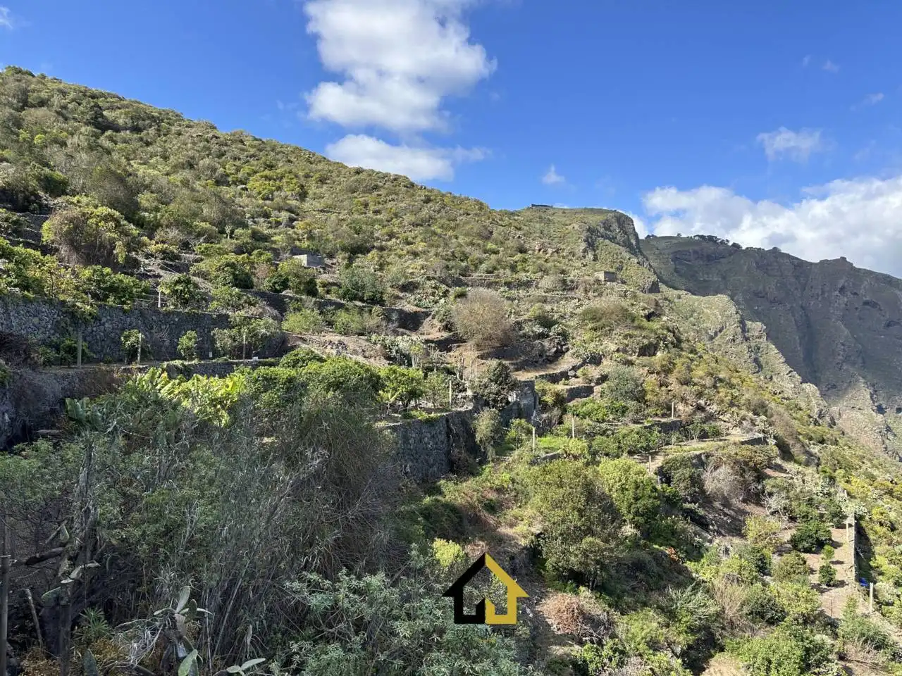 Terreny rústic en venda a Carretera TF - 421 Garachico, imagen 16