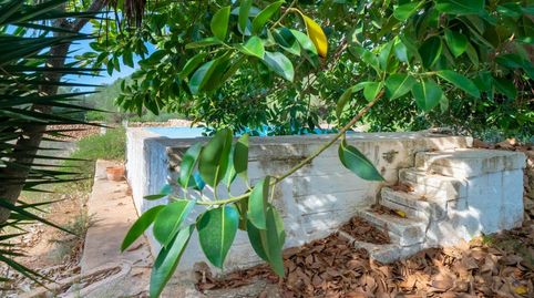 Casa de campo con total privacidad cerca de la costa de Ciudadela, imatge 4