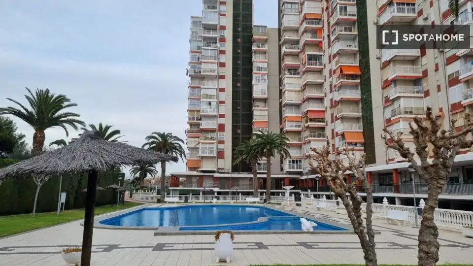 Piscina de Apartament per a compartir en Alicante / Alacant amb Aire condicionat, Terrassa i Moblat