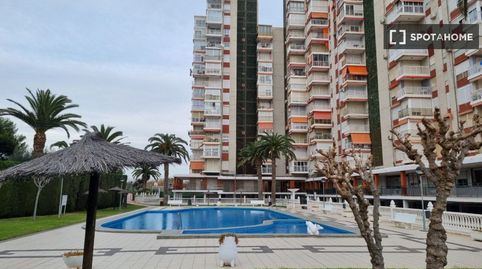 Foto 3 von Zimmer in Albufereta, Alicante / Alacant