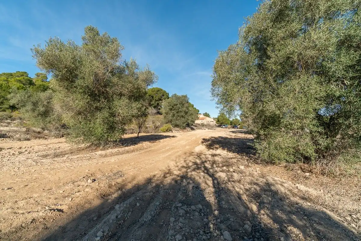 Terreno residenziale in vendita a El Pinar de Campoverde, imagen 8