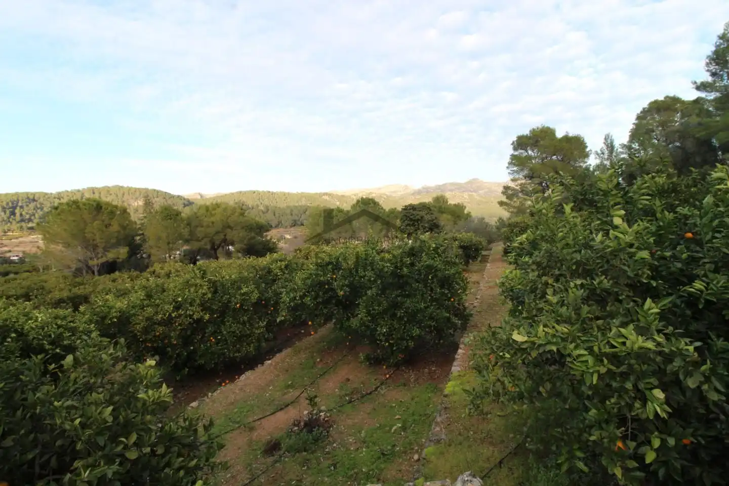 Terrenos y solares en venta en barranc del salt, imagen 12