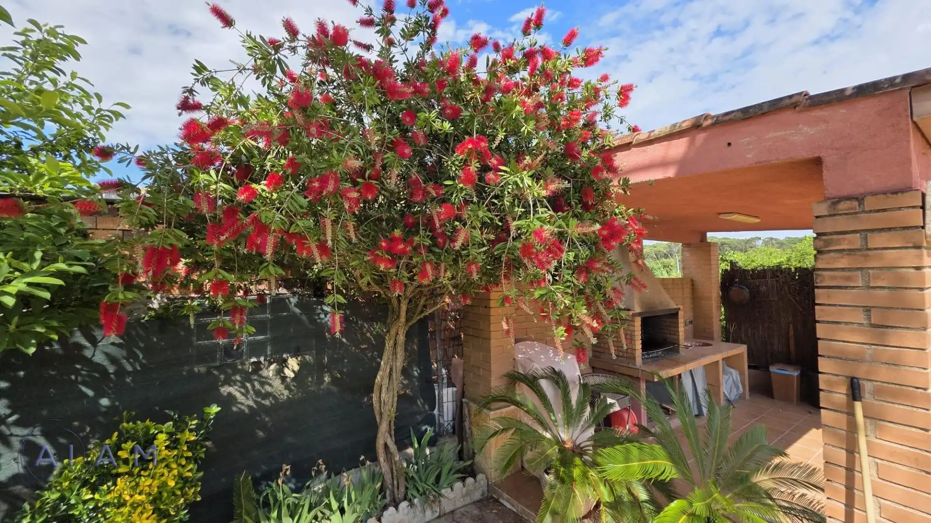 Jardín de Casa o chalet en venta en Tordera con Calefacción, Jardín privado y Terraza