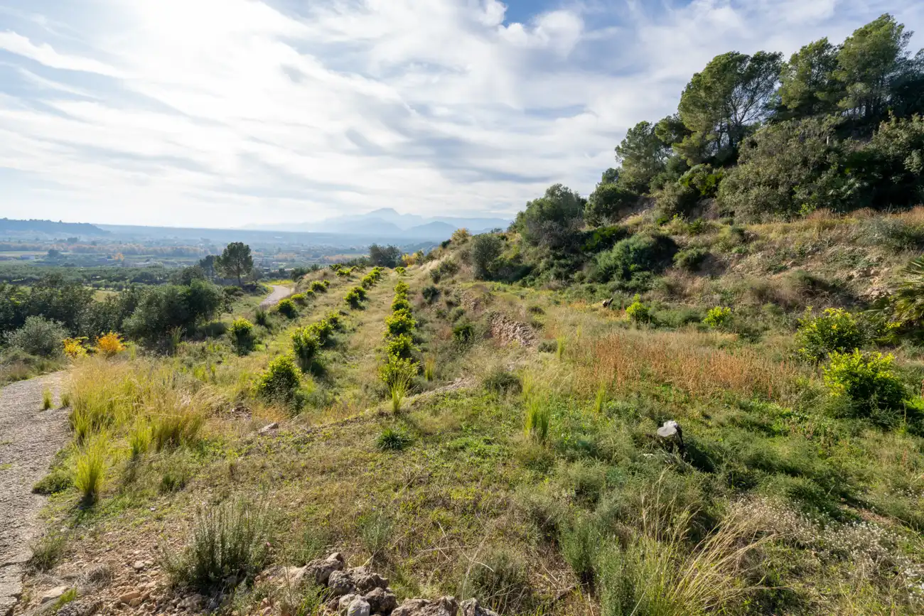 Terrain rustique à vendre à T-301 57, imagen 14