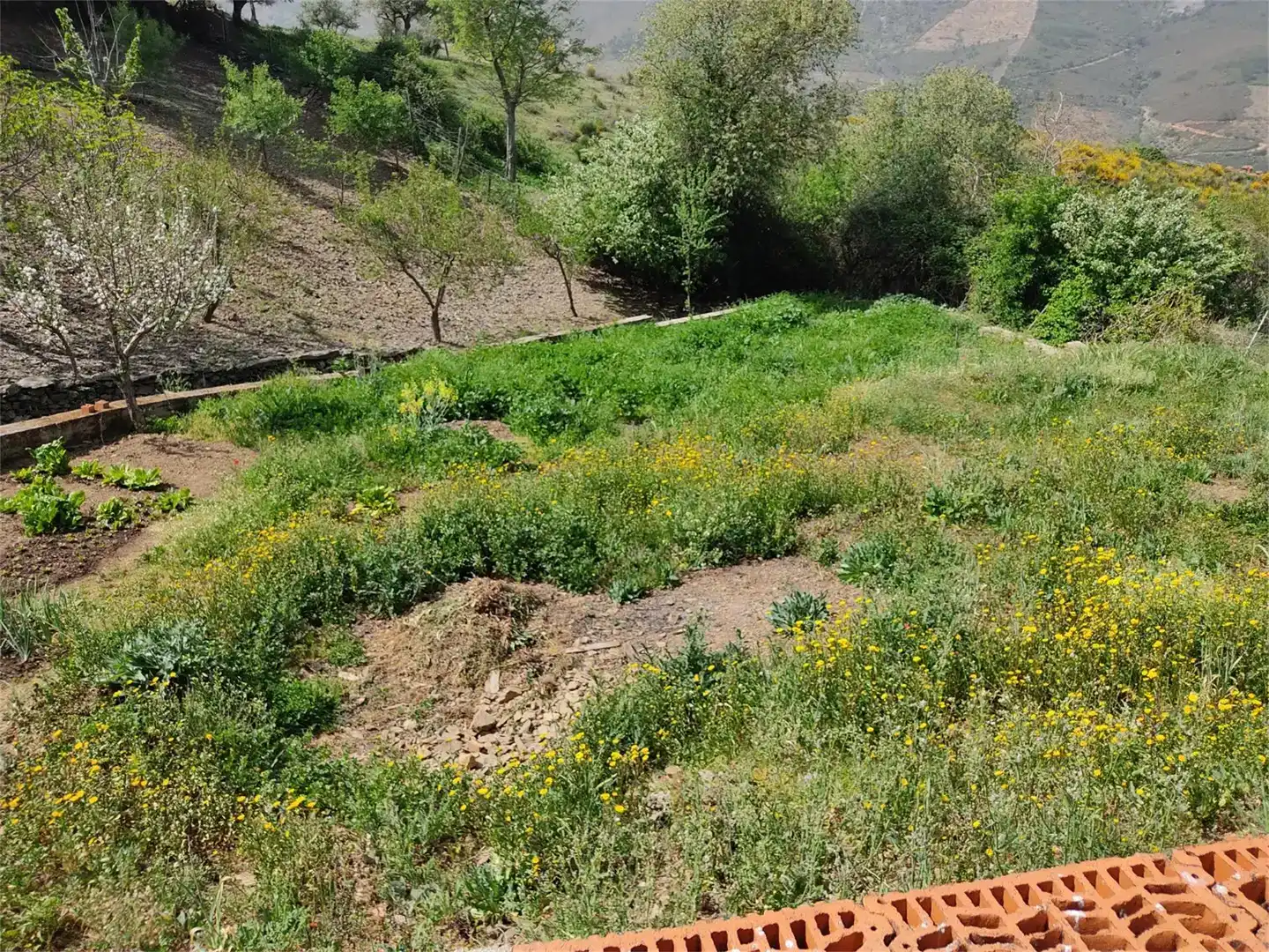 Piso en venta en Navalvillar de Ibor con Jardín privado