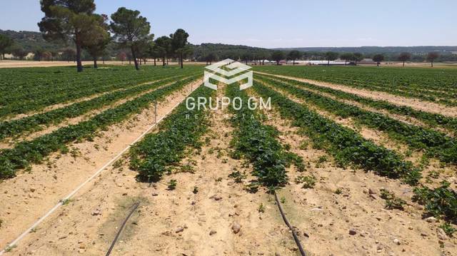 Terreno en Venta en N/A en San Esteban del Molar
