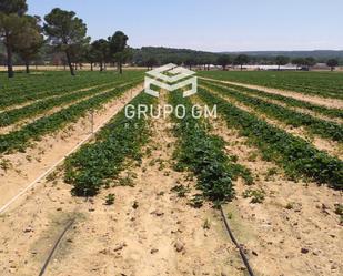 Land for sale in San Esteban del Molar