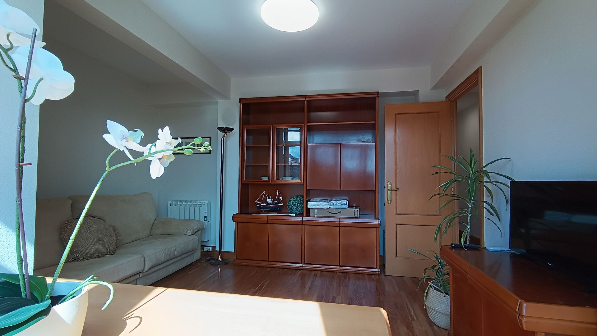 Living room of Flat to rent in Donostia - San Sebastián   with Furnished