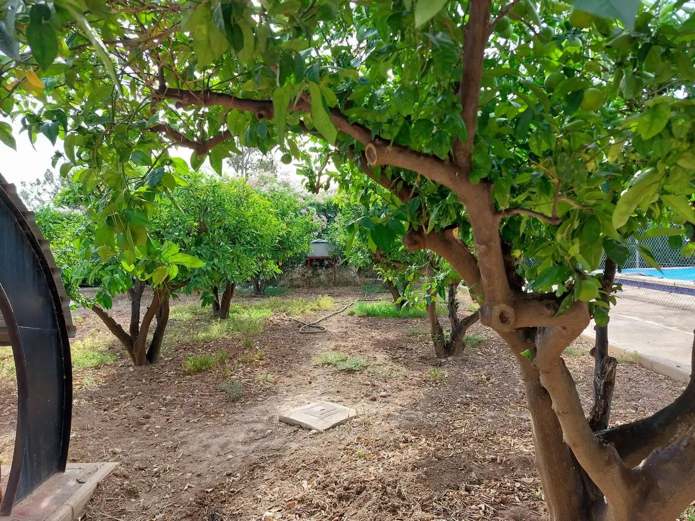 Detached house with pool for sale in JOVERS DEL, imagen 52