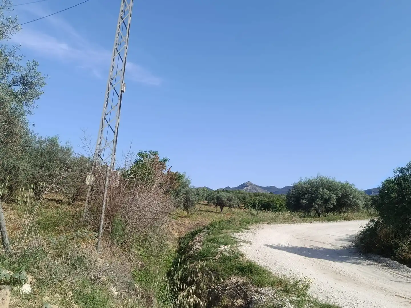 Terreni e lotti in vendita a Alquería - Torrealquería, imagen 15