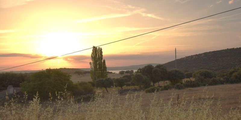 Exterior view of House or chalet for sale in La Tala  with Private garden and Storage room