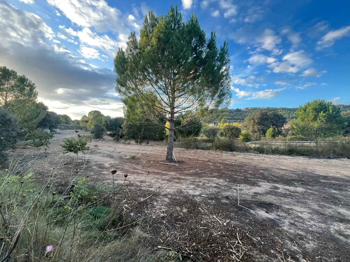 Villa con piscina in vendita a Banyeres de Mariola, imagen 39