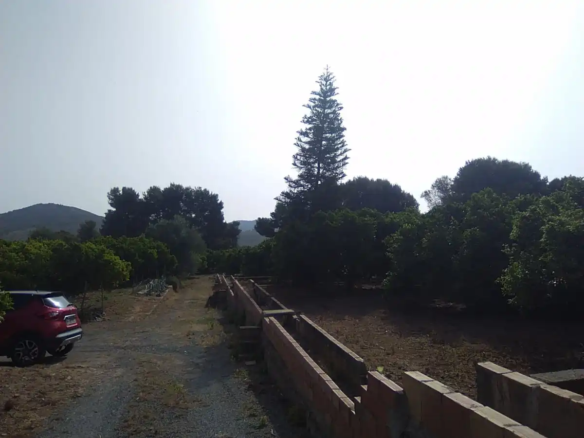 Finca rústica en venta en Sagunto / Sagunt