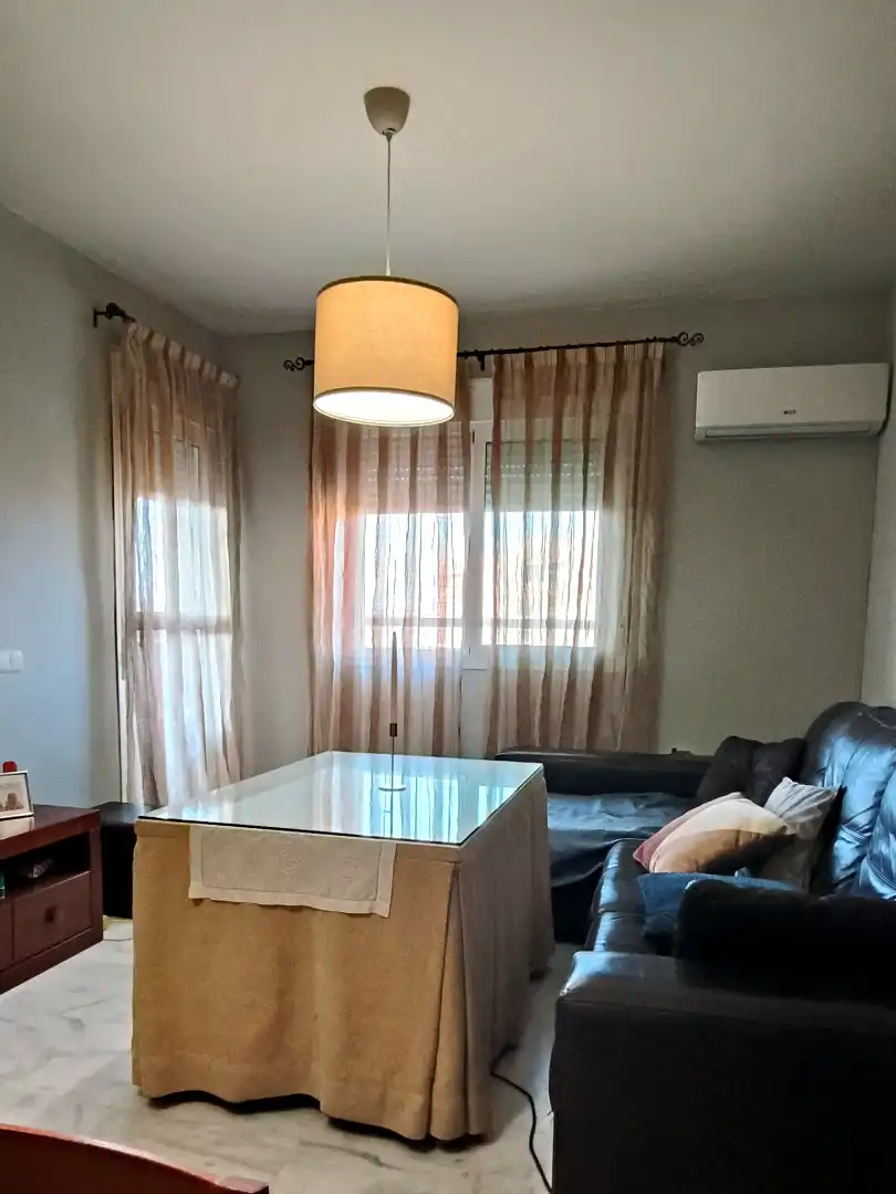 Piso con piscina en venta en Avenida Clara Campoamor, imagen 3