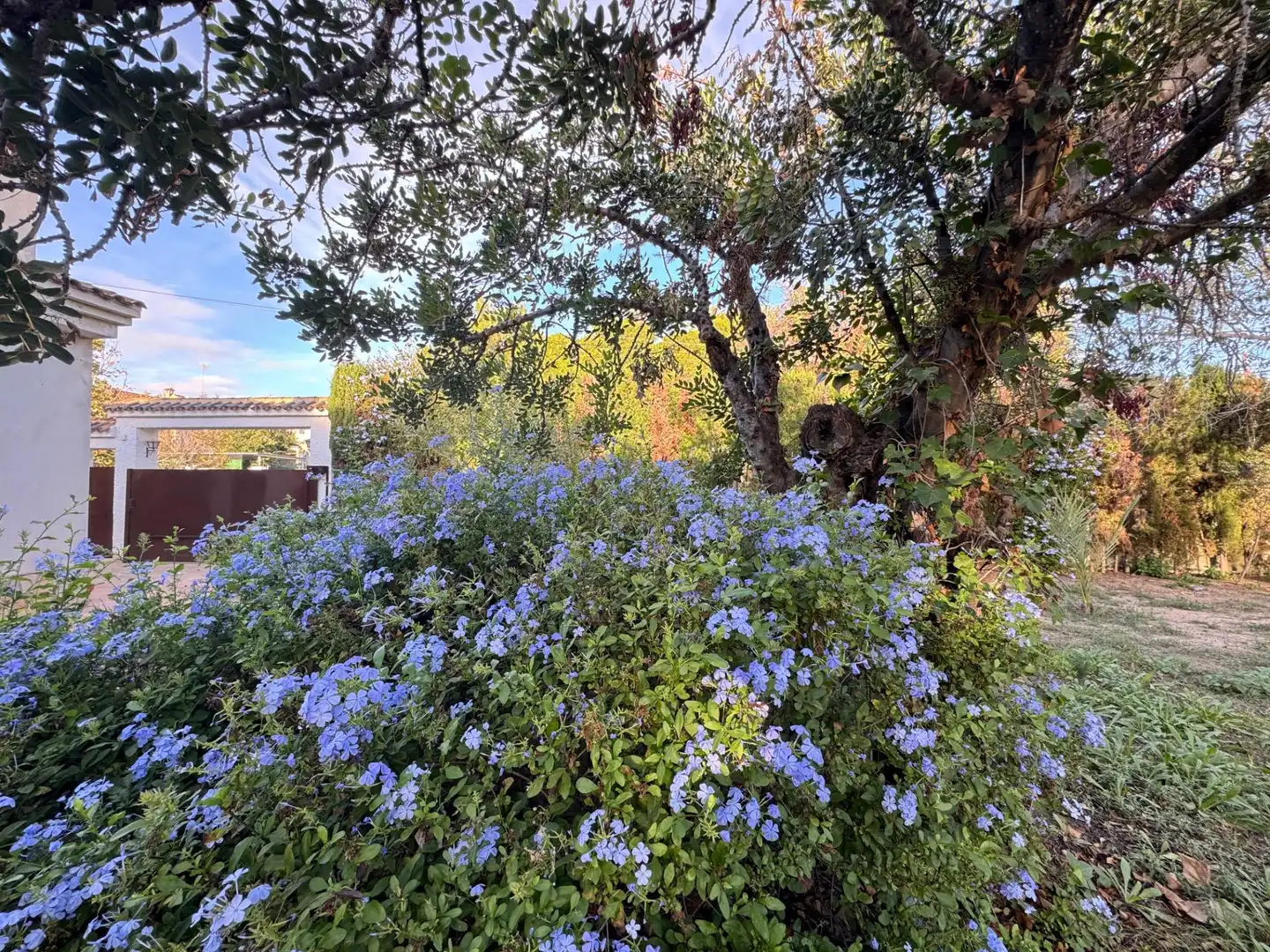 Garden of Houses for sale in Mutxamel  with Air Conditioner, Private garden and Terrace