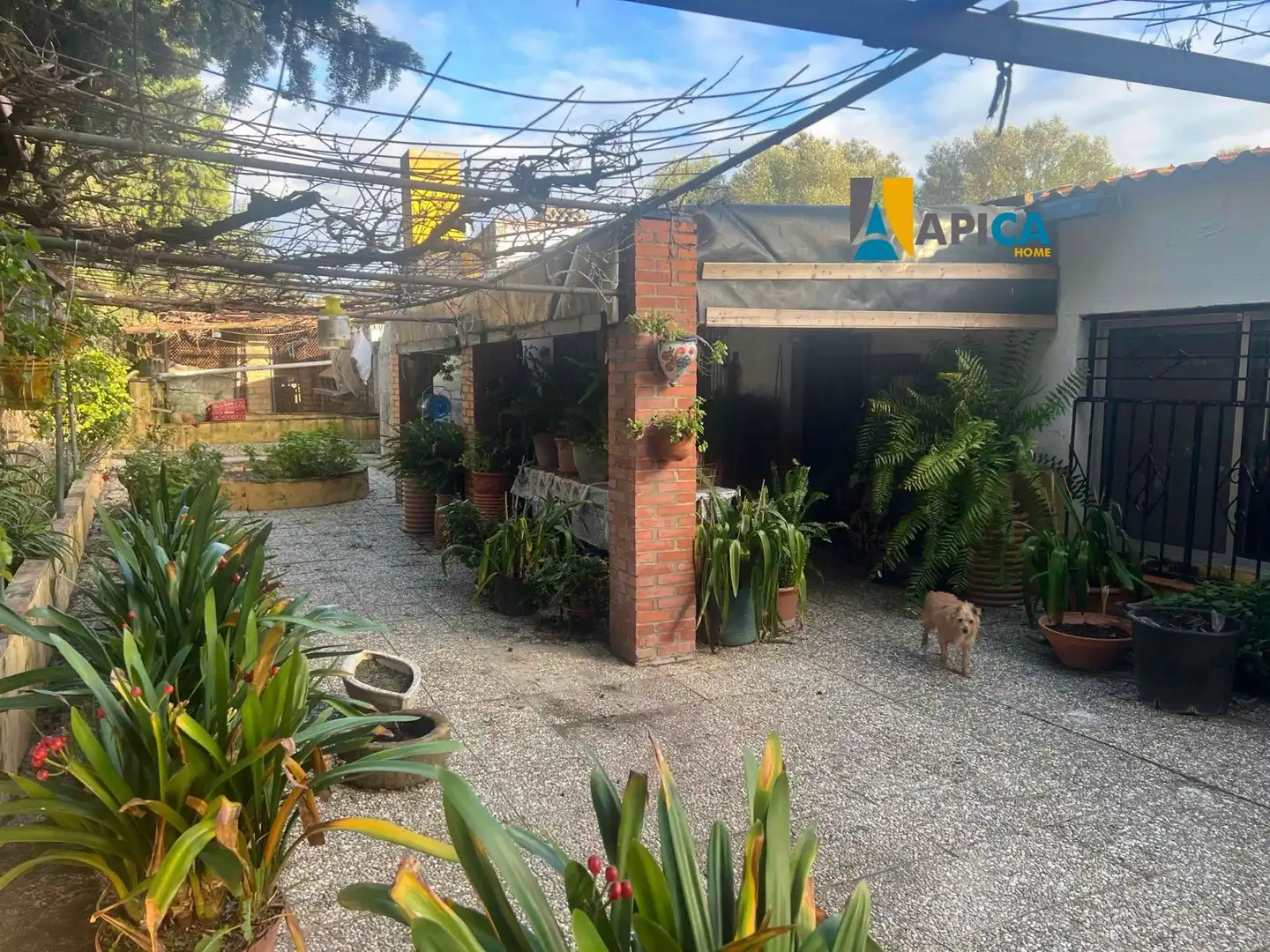 Houses for sale in Medina Sidonia  with Terrace and Furnished