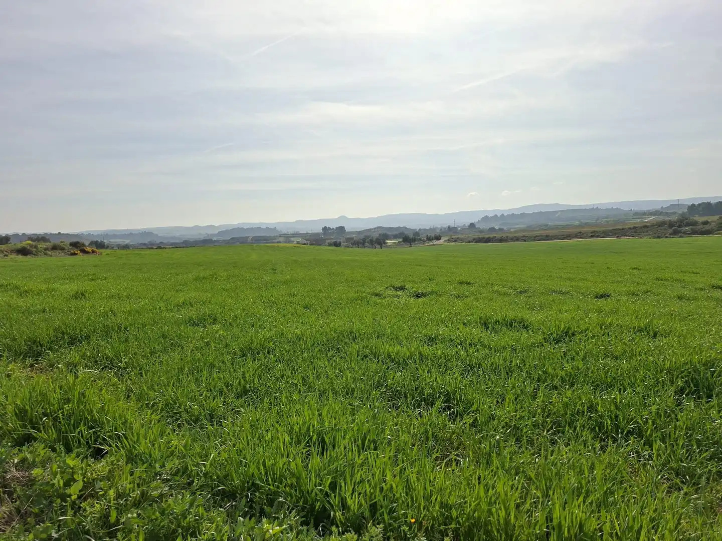 Terreni e lotti in vendita a Huerta Rimer de Alla, imagen 11