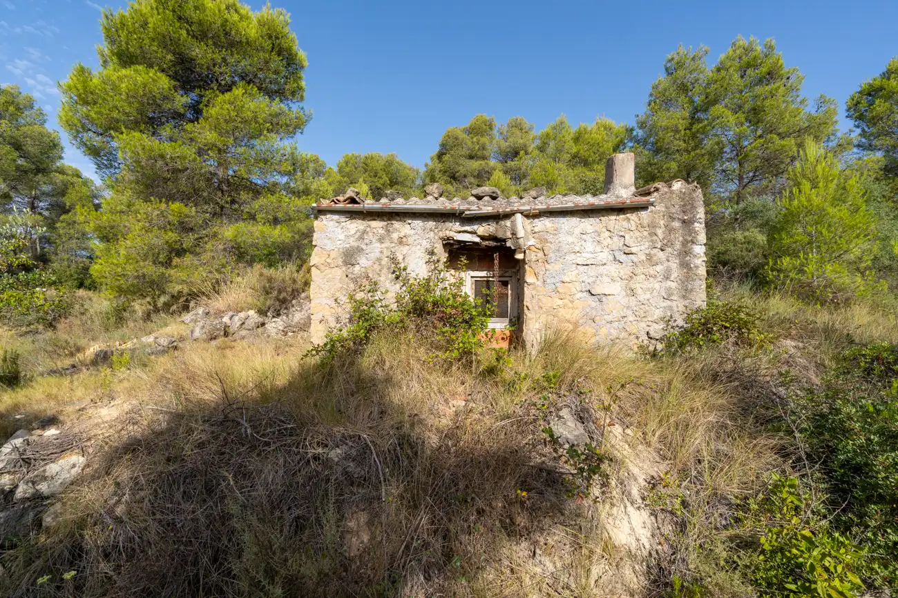 Exterior view of Land for sale in Caseres