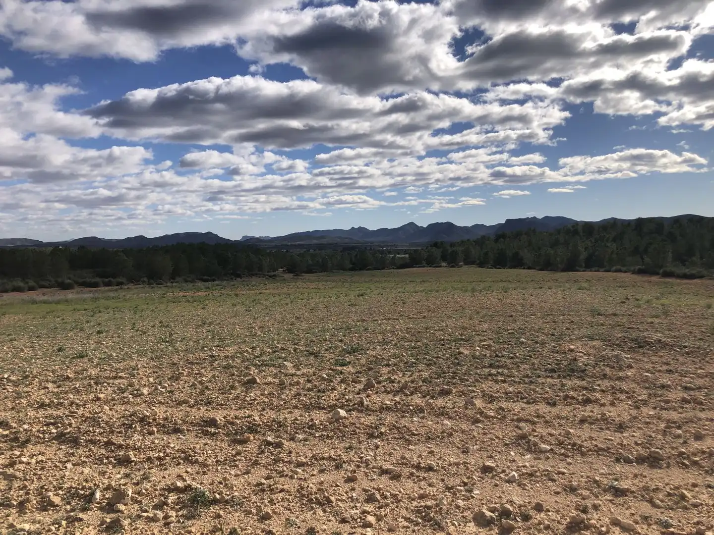 Terrenos y solares en venta en Hellín, imagen 5