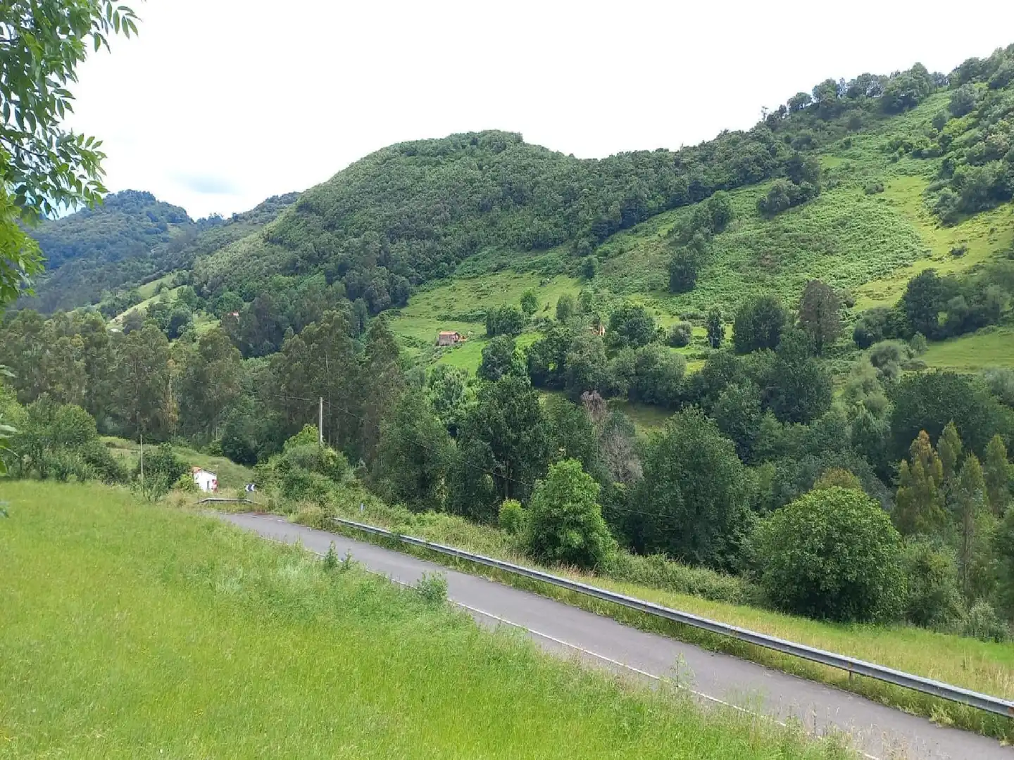 Rural land for sale in Ampuero, imagen 4