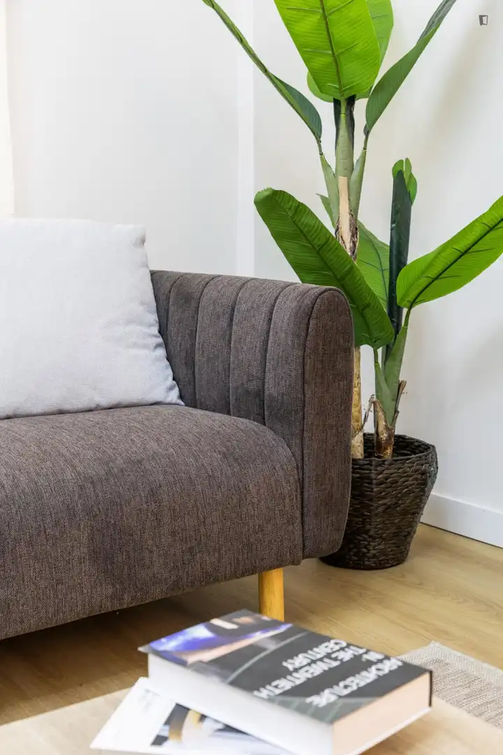 Sala de estar de Apartamento para compartir en Madrid con Calefacción, Amueblado y Horno