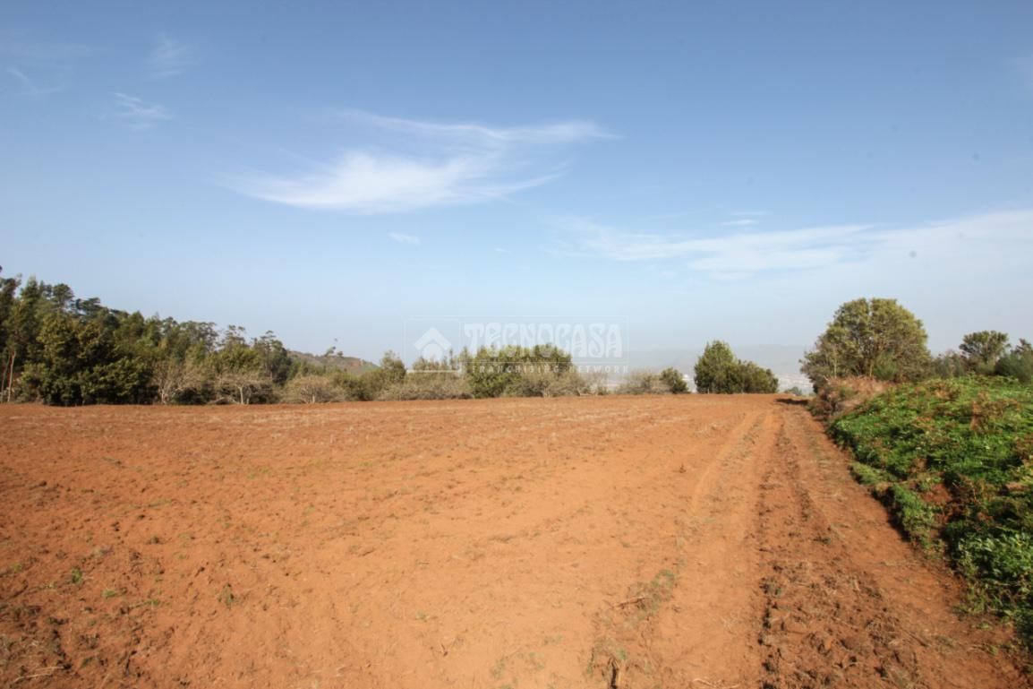 Terreno en venta en El Rosario