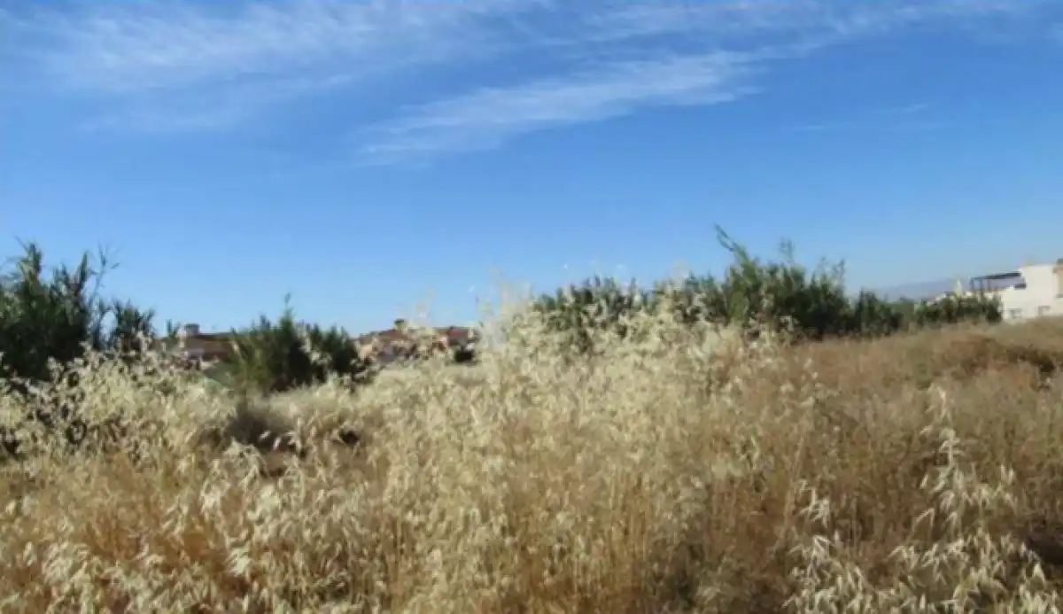 Residencial en venta en Albolote