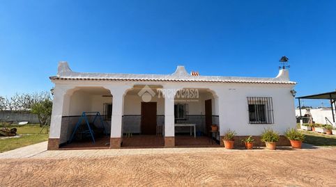 Foto 4 de Finca rústica en venda a Pelagatos - Pago del Humo, Chiclana de la Frontera