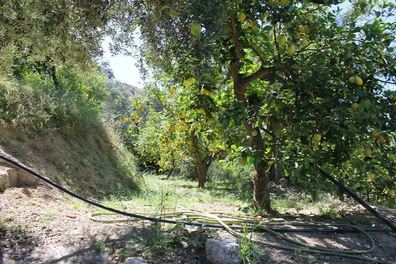 Country house for sale in Lecrín, imagen 35
