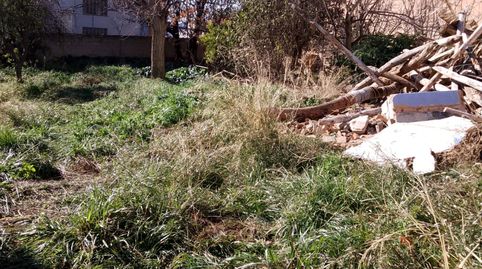 Pacela en Lanjarón, imatge 3