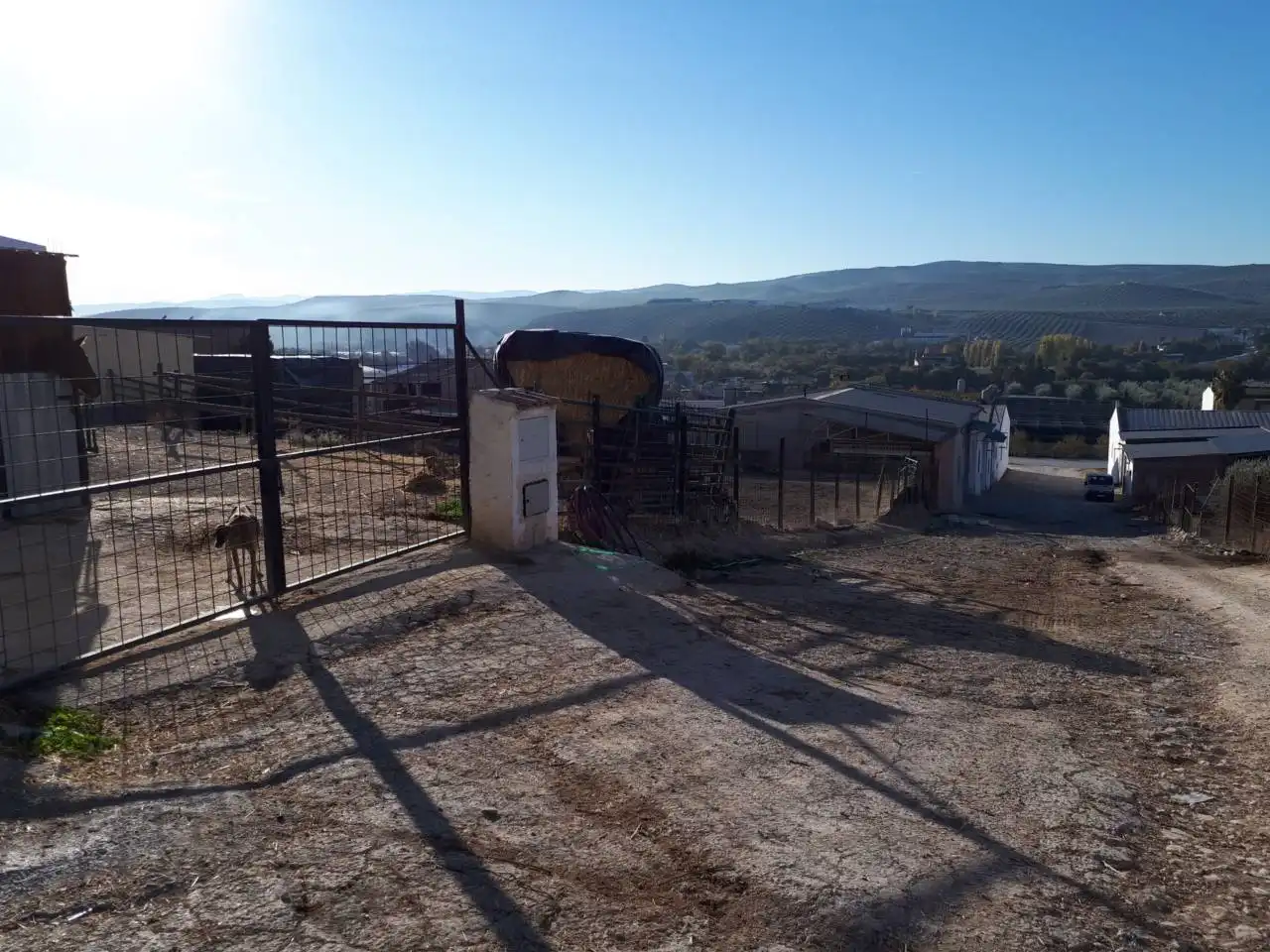 Rural land for sale in Castro del Río, imagen 4