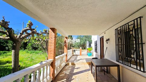 Foto 3 de Finca rústica en venta en Cami 9 Parellades, 1, Roquetes, Tarragona