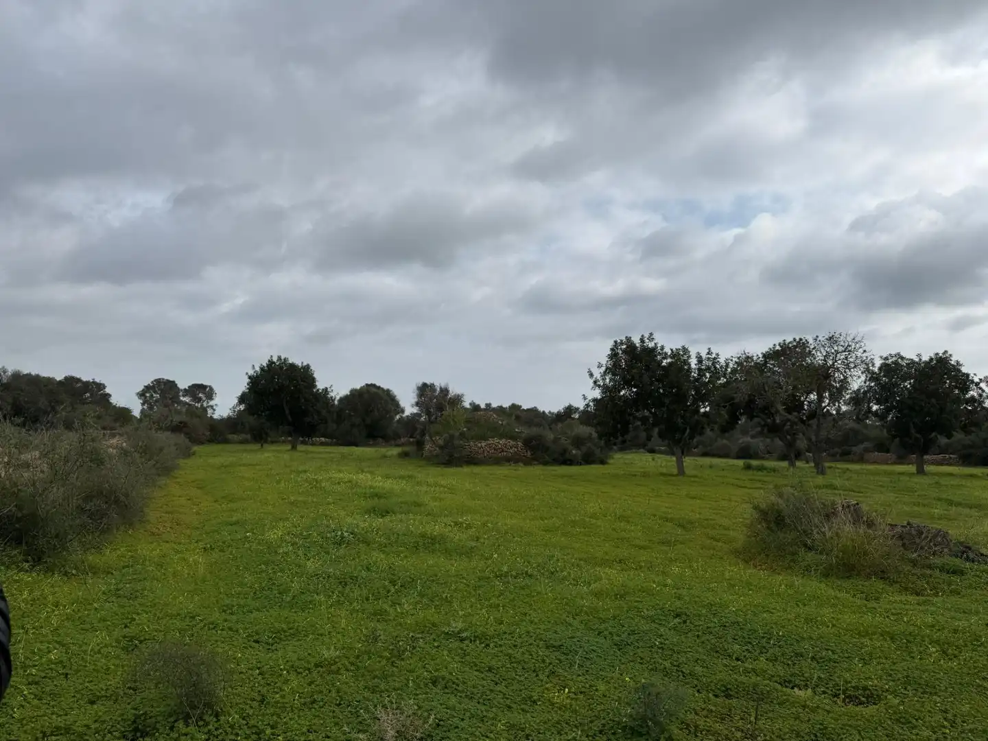 Terreno rustico in vendita a Llucmajor pueblo, imagen 11