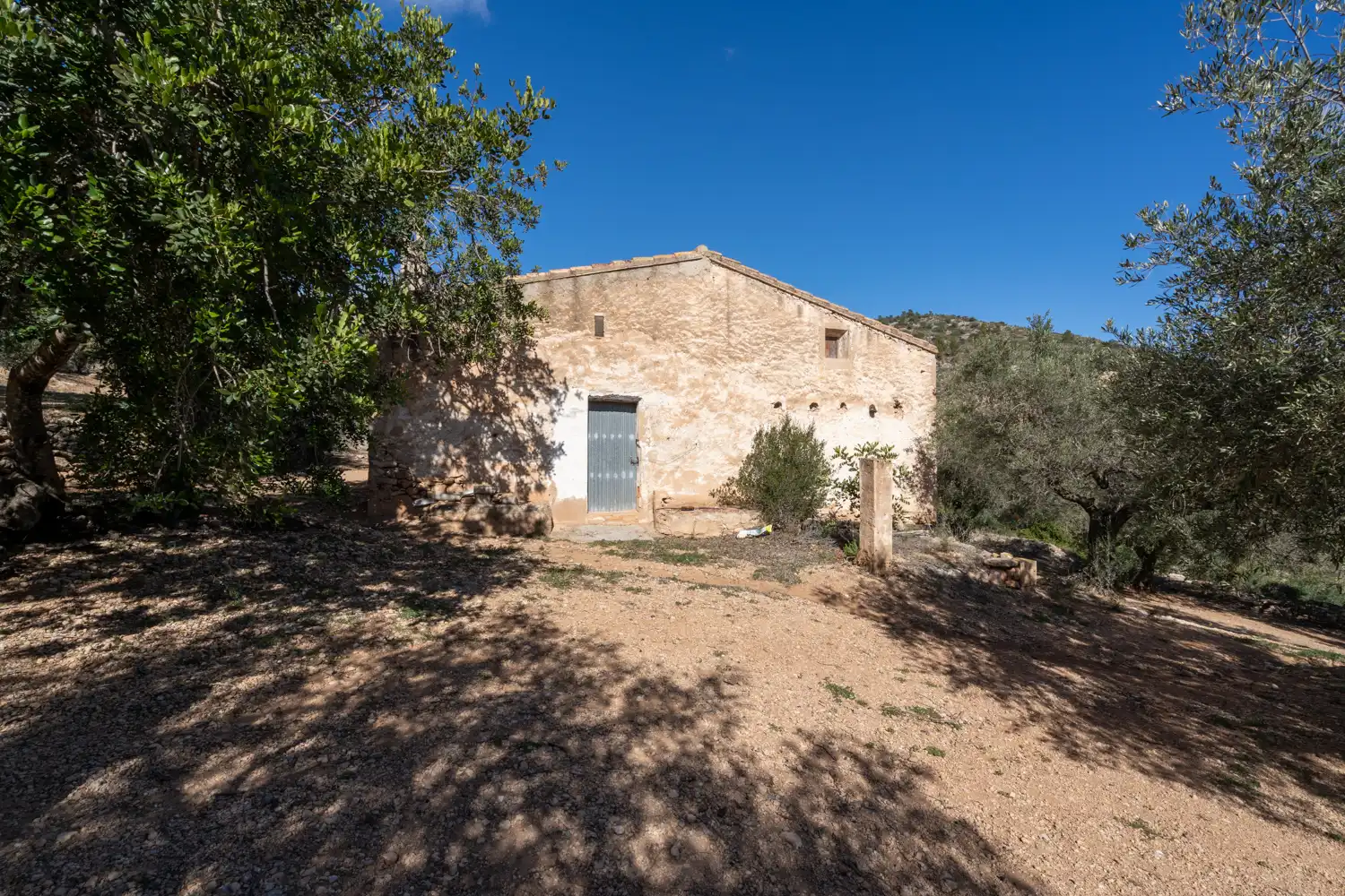 Terrain rustique à vendre à Xerta, imagen 2