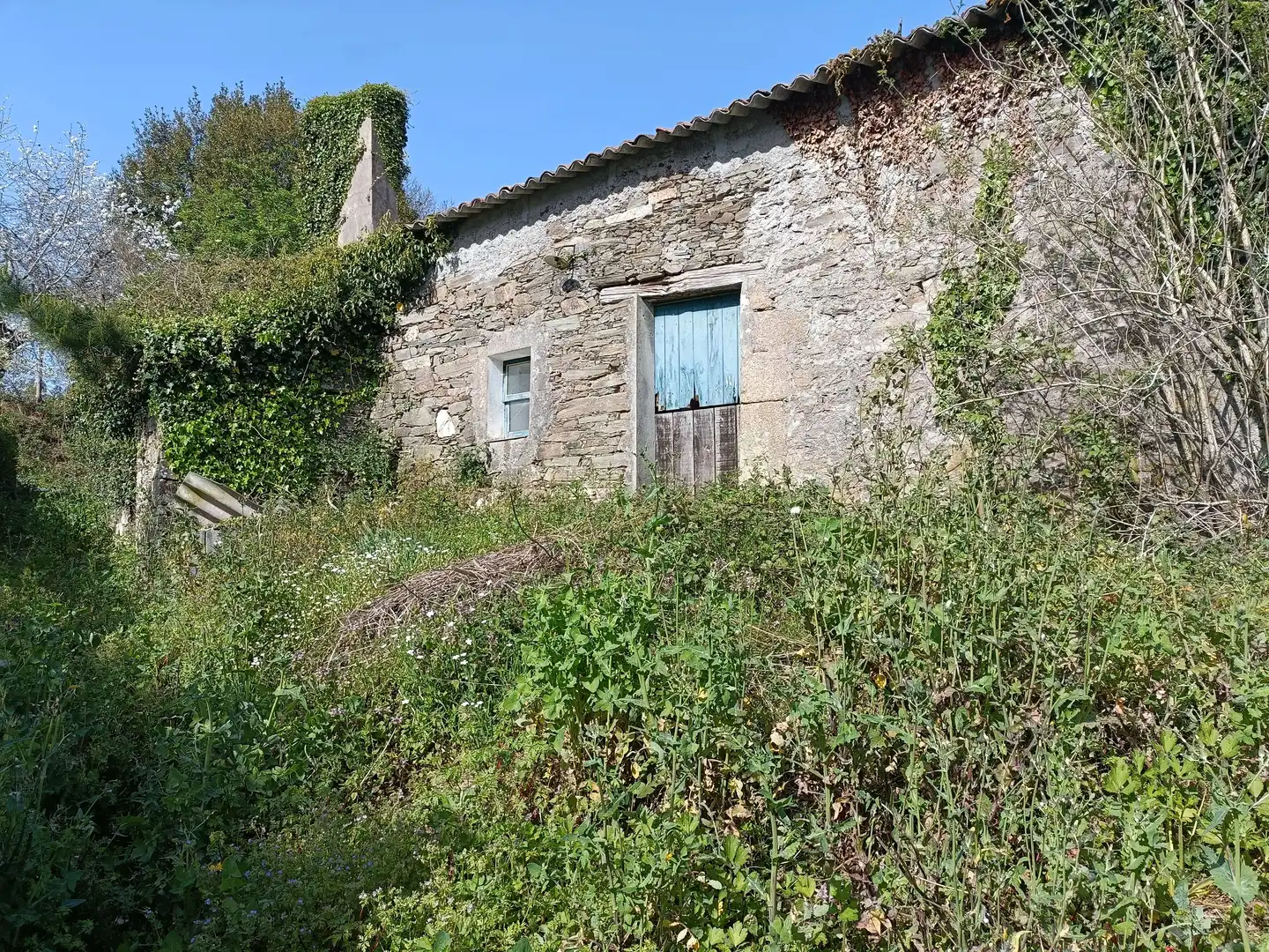 Vista exterior de Casa o chalet en venta en Cesuras con Jardín privado y Trastero