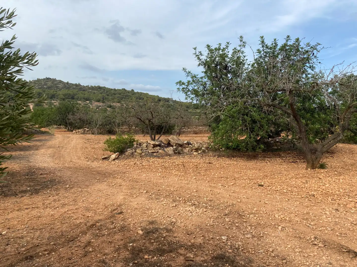 Terrain rustique à vendre à Carrer Camí de Montferri, imagen 16