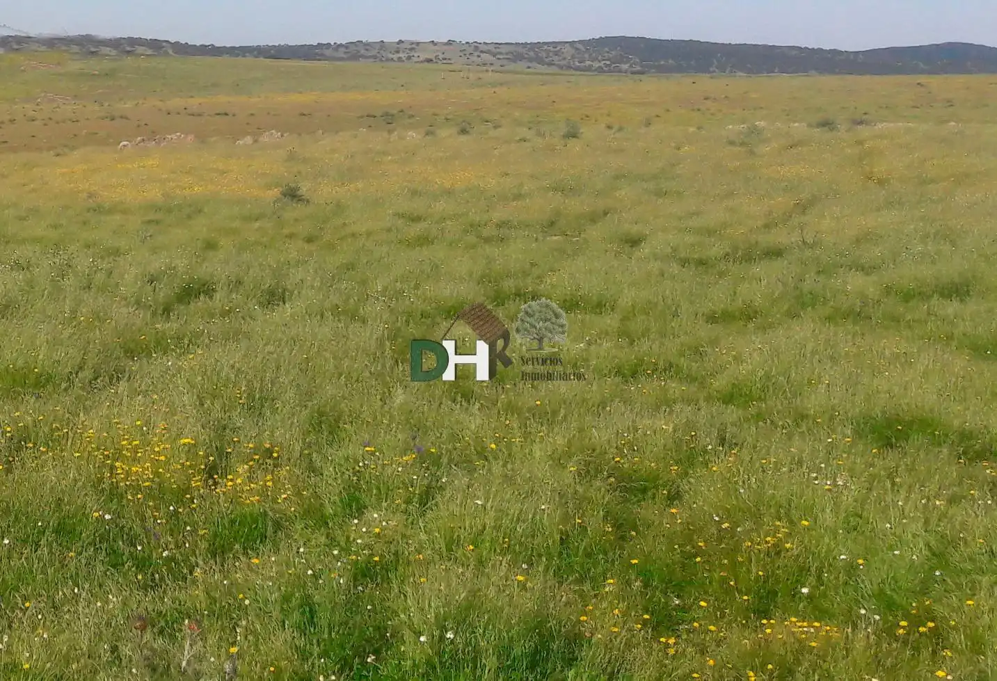 Terreni e lotti in vendita a Carretera de Sevilla - Los Montitos, imagen 4