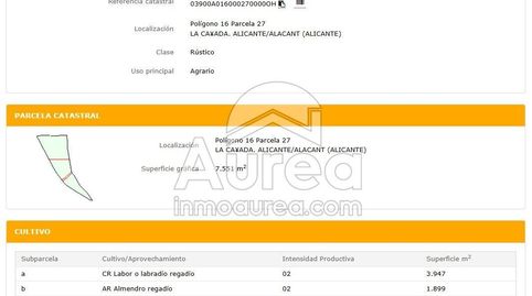 Photo 4 of Land for sale in Cañada del Fenollar, Alicante / Alacant