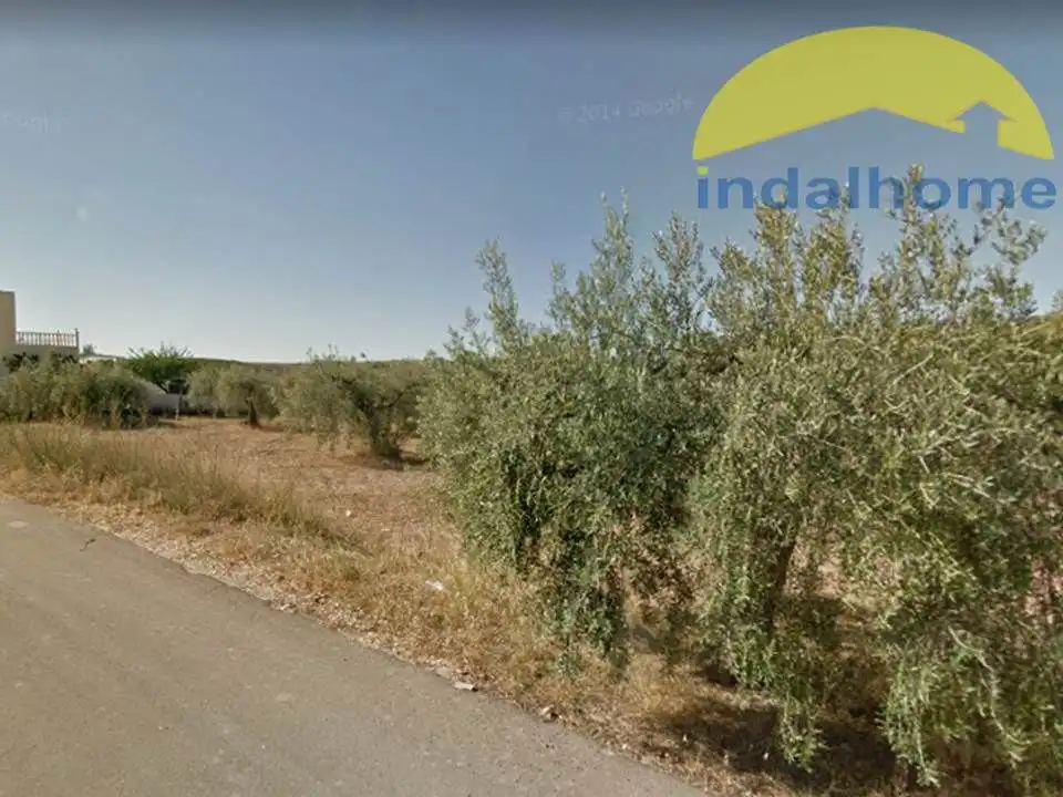 Terrenos y solares en venta en Sorbas, imagen 9