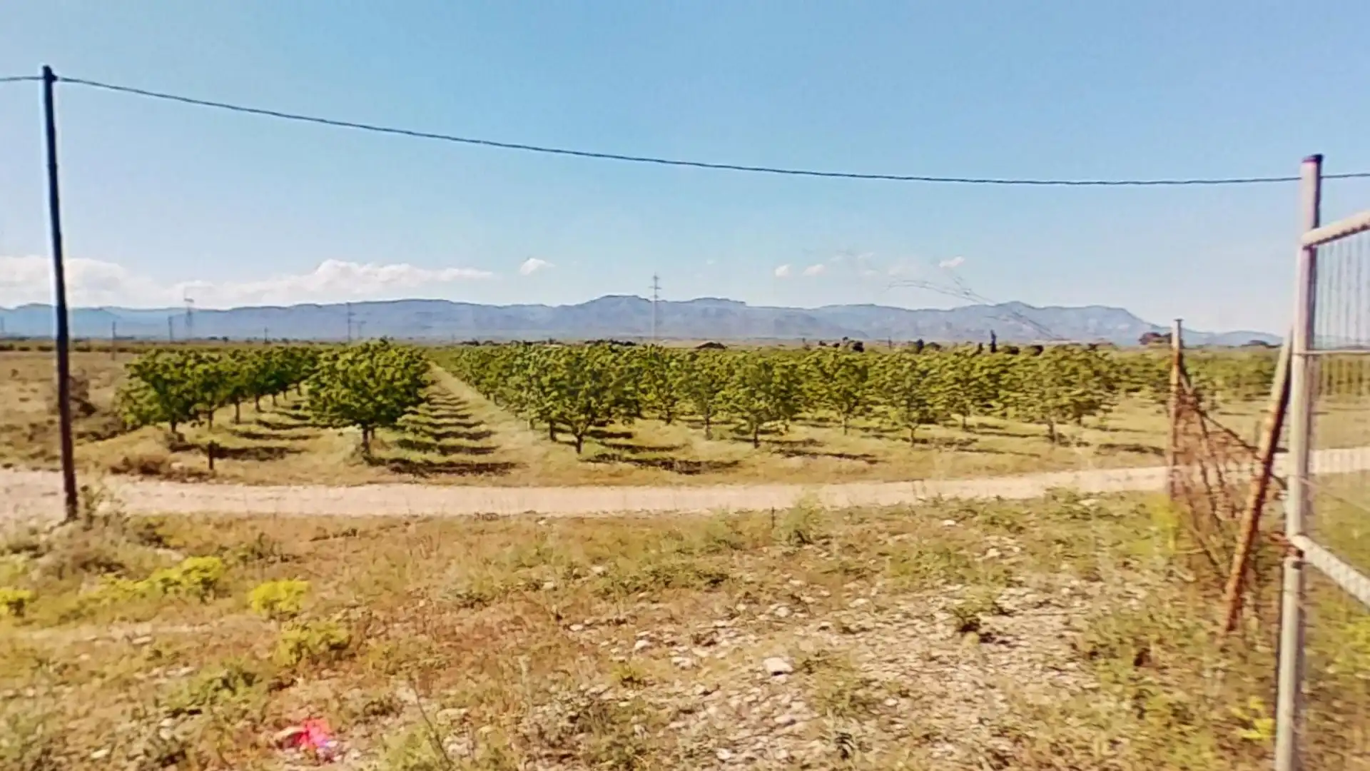 Terreny rústic en venda a Ulldecona, imagen 2