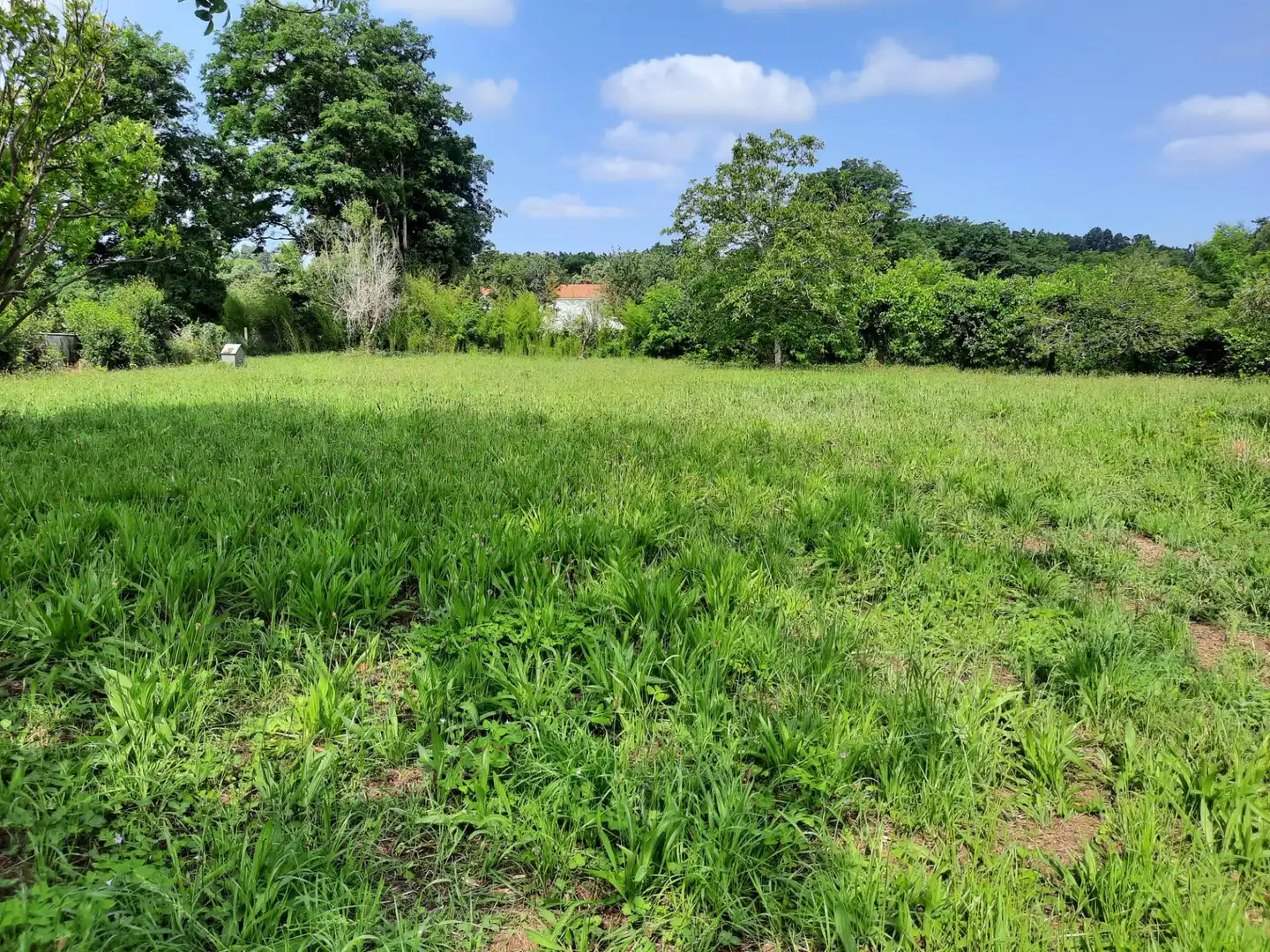 Haus oder Chalet zum Verkauf in Valdoviño mit Heizung, Privatgarten und Terrasse