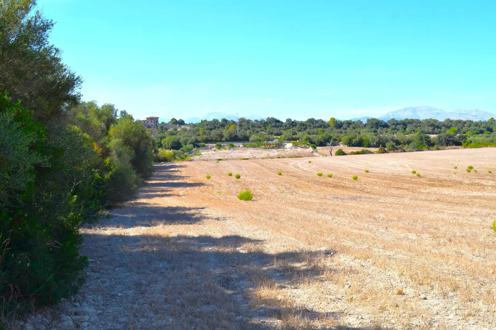 Terreny residencial en venda a Llubí, imagen 5