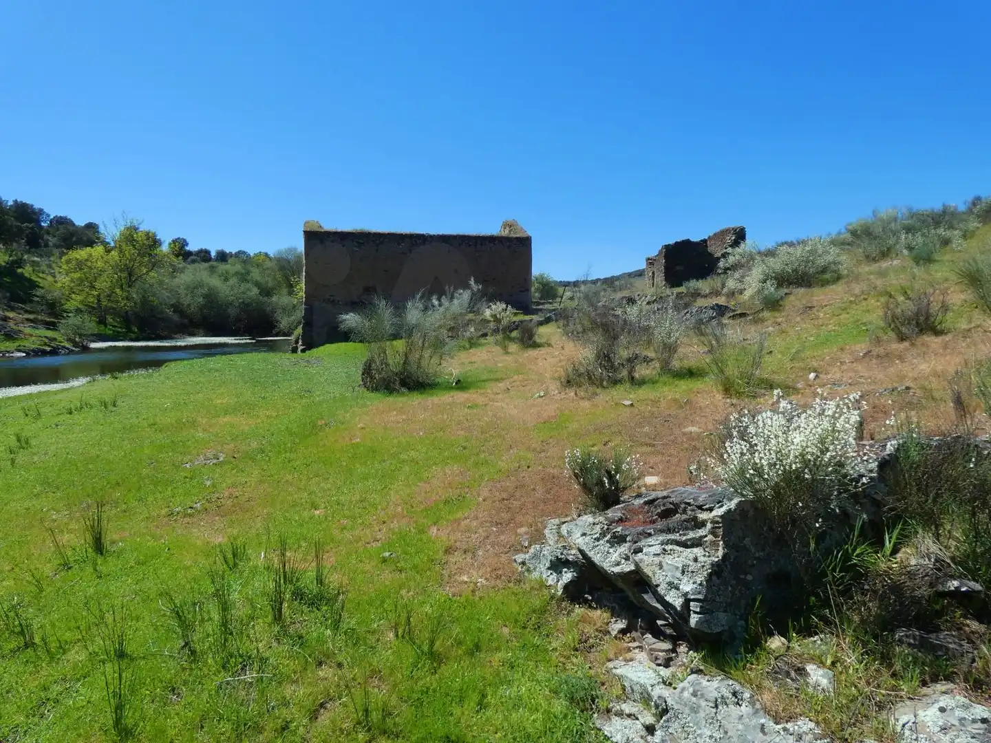 Terreny en venda en Gallegos de Argañán