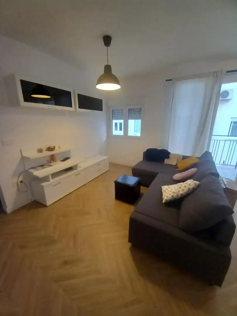 Living room of Flat for rent in Málaga Capital  with Air Conditioner, Terrace and Furnished