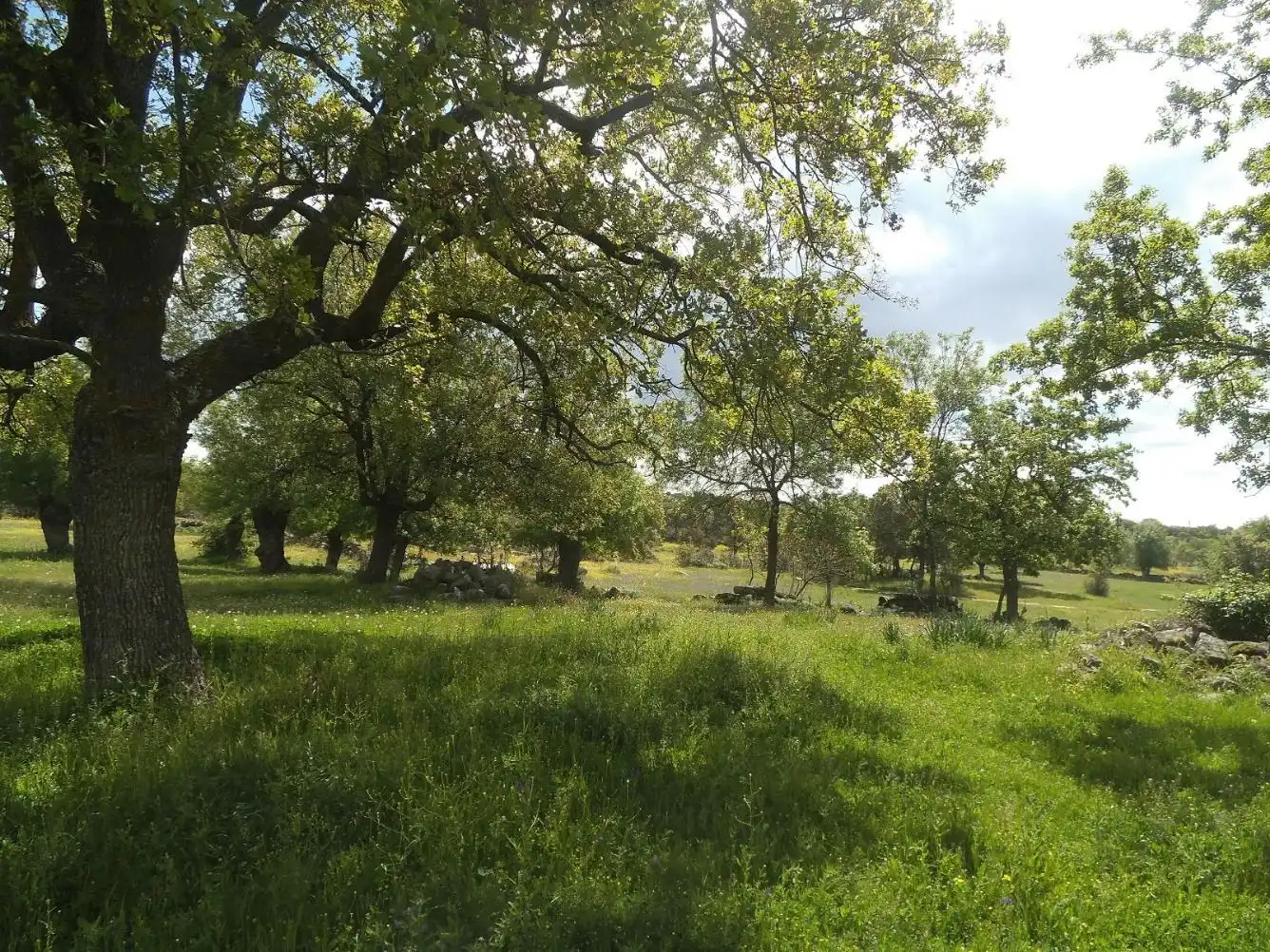 Residencial en venda en Valdemorillo