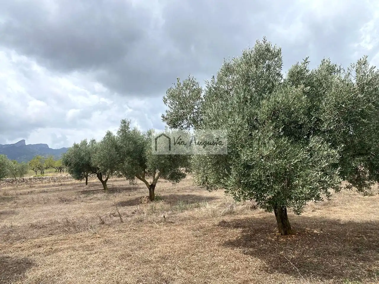 Terreno rustico in vendita a Burga, imagen 9