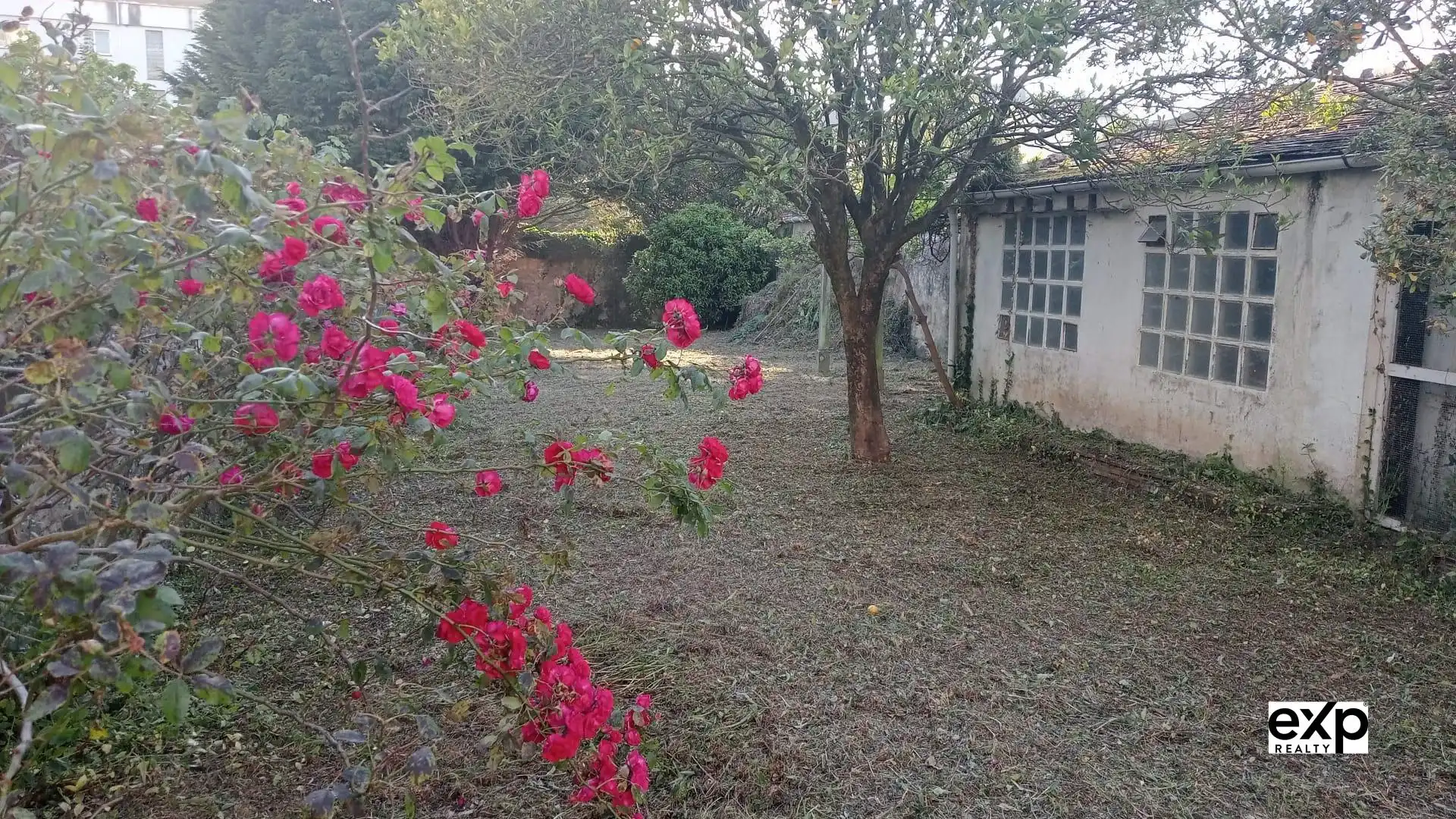 Haus mit Terrasse zum Verkauf in RAMON GONZALEZ, imagen 58