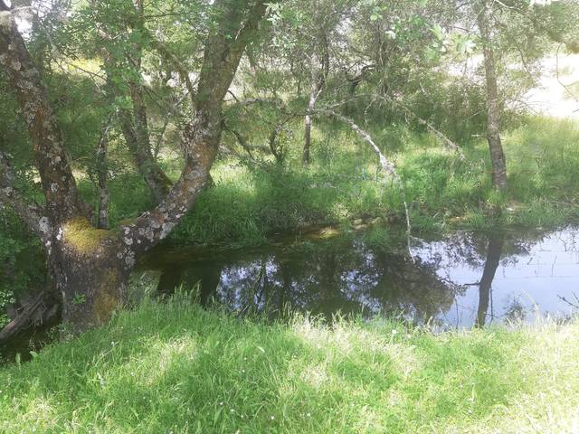 Terreno en Venta en Travesía Pradillo, 1 en Mijares