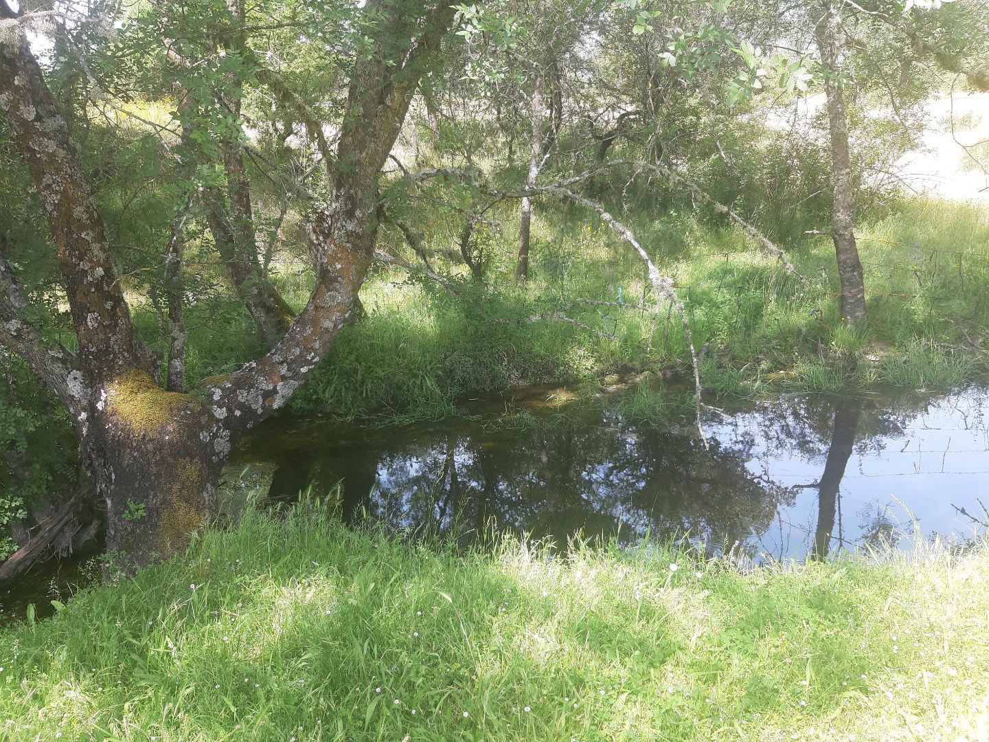 Exterior view of Land for sale in Mijares