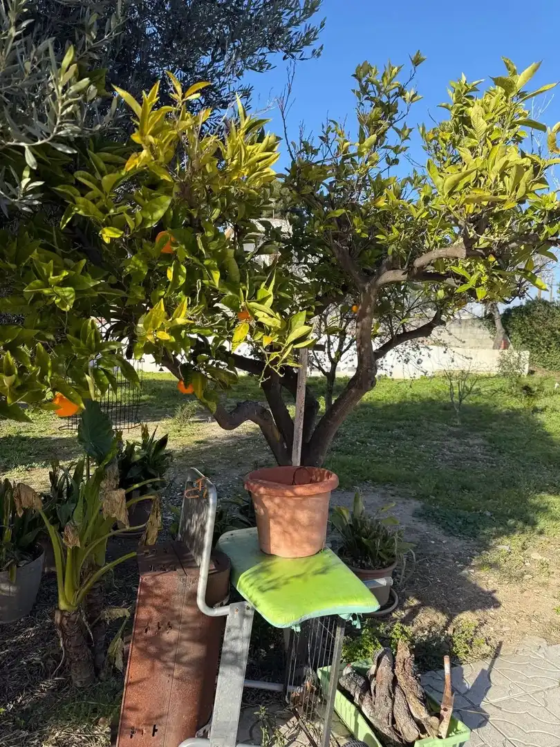 Jardín de Casa o chalet en venta en Lliçà d'Amunt con Calefacción, Terraza y Trastero